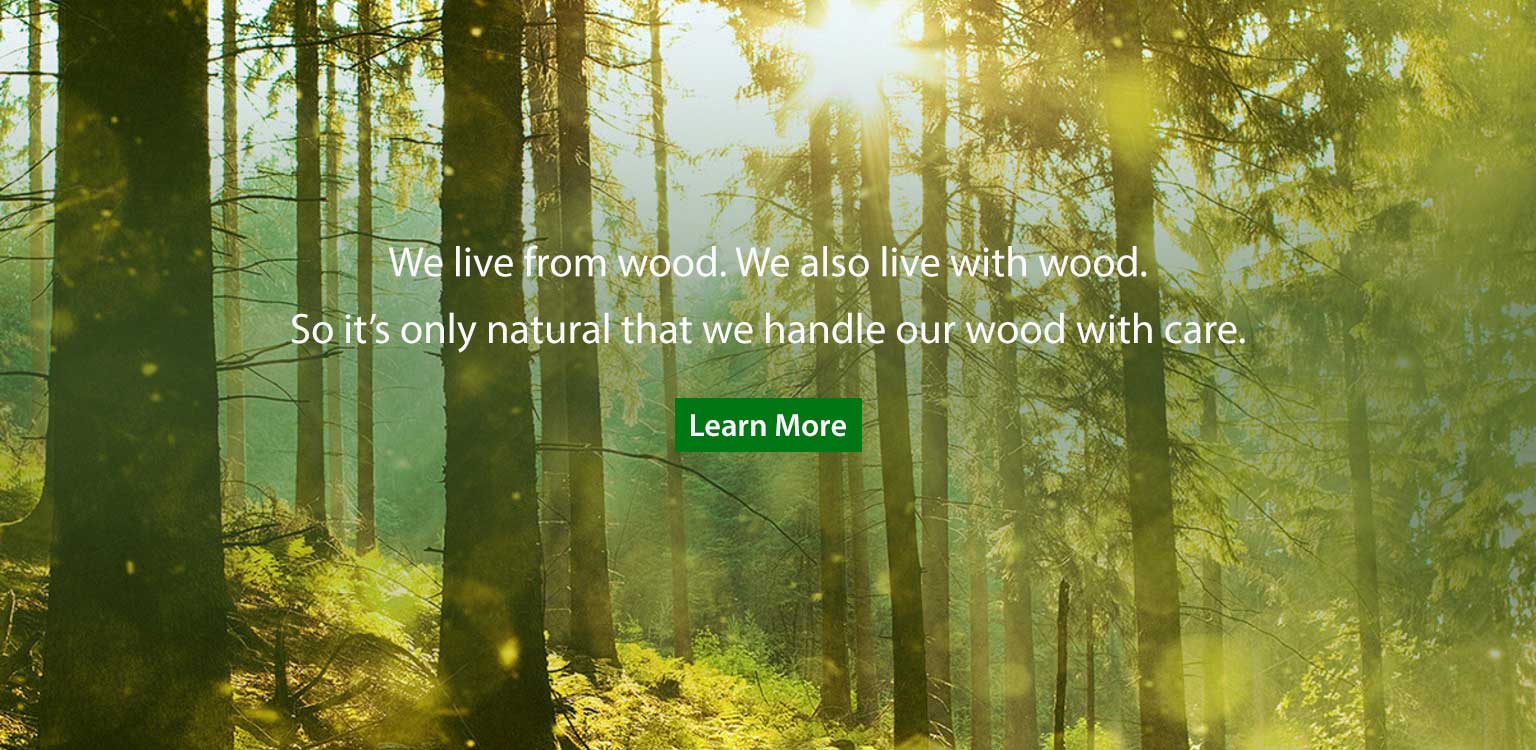 Learn About Sustainable Wood Flooring